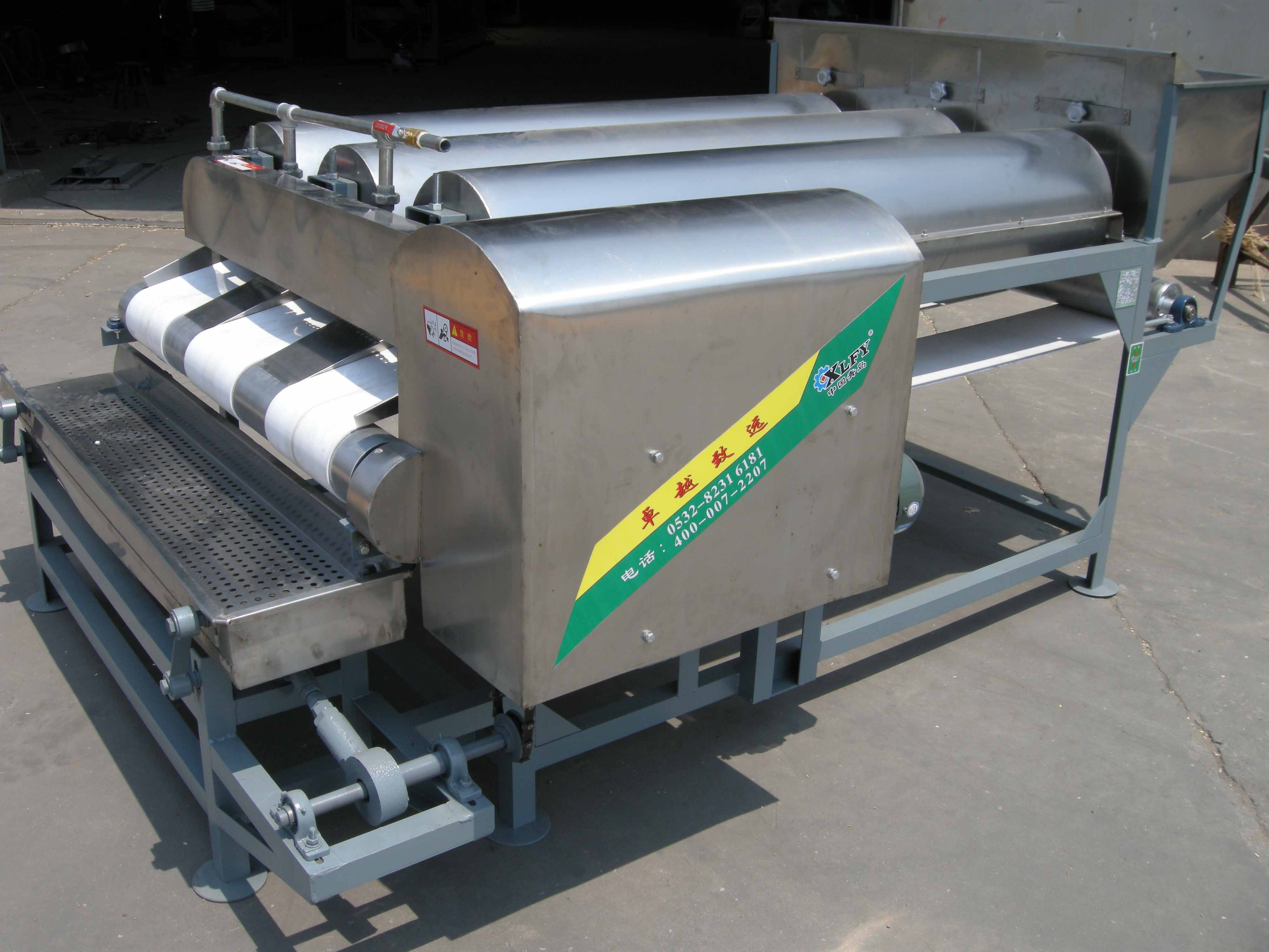 Fruit washing machine